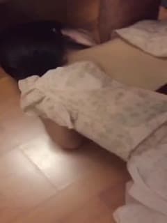 调教小女生舔脚