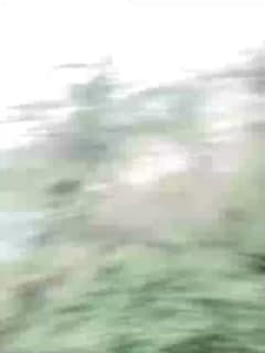 景区极品露奶