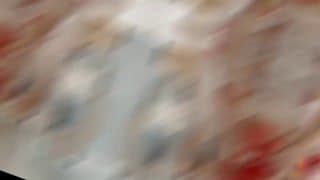 是你们最满怀期待的胡桃吗