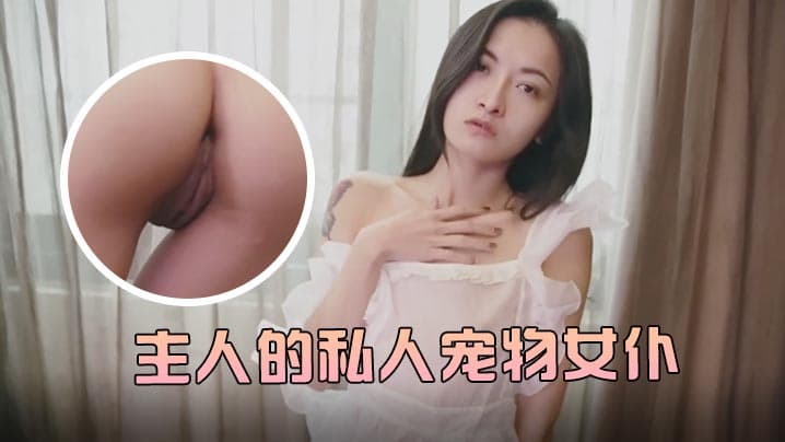 JVID主人的私人宠物女仆小婕儿最喜欢主人痴女仆奉仕旋转AV棒不断抽插浓厚中出白浆溢流