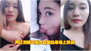 网红刘婷勾引大叔路边草地上野战